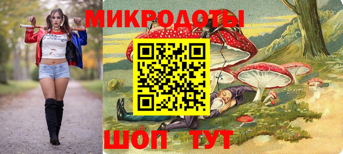 Псилоцибиновые грибы Psilocybine cubensis Сальск