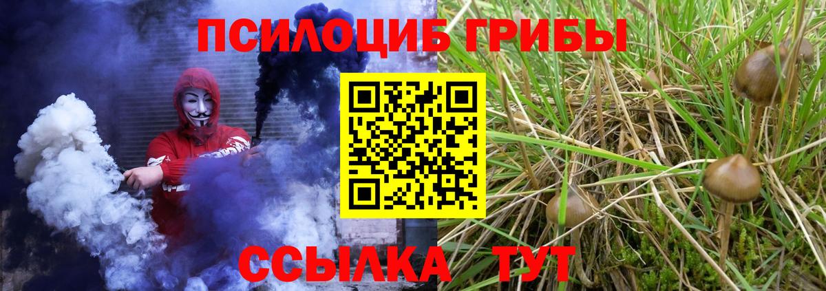 Сальск  Галлюциногенные грибы Psilocybine cubensis  Вход с VPN 